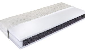  Bonellrugos-mintakep